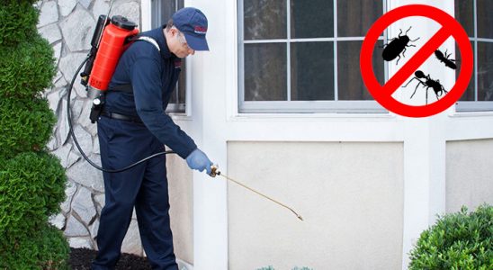 Bolu Tahtakurusu İlaçlama böcek ilaçlama ve haşere kontrolü — ilaclama-tr.com